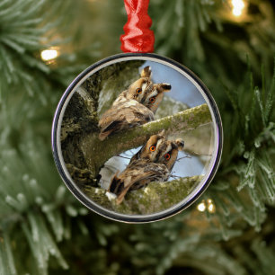 Twee uilen in het bos, vogels, wildlife Keramiek O Metalen Ornament