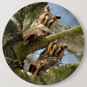 Twee uilen in het bos, vogels, wildlife Knop Ronde Button 6,0 Cm