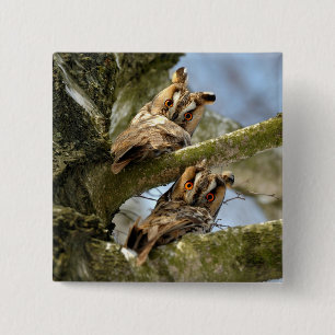Twee uilen in het bos, vogels, wildlife Knop Vierkante Button 5,1 Cm