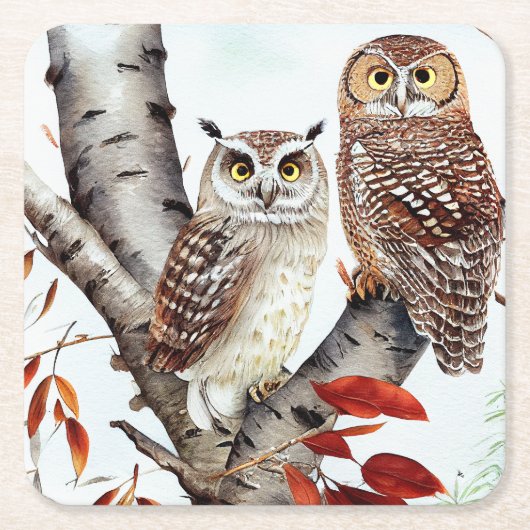 Twee uilen zitten in een witte berkenboom in de he kartonnen onderzetters (Voorkant)