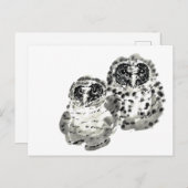 Twee uilkuikens vatten inktschilderij op briefkaart (Voorkant / Achterkant)