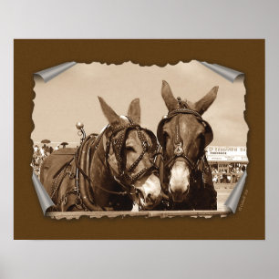 Twee van A-types Poster