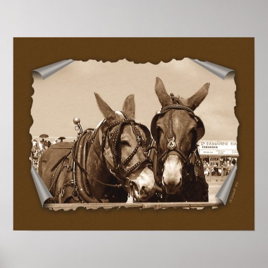 Twee van A-types Poster (Voorkant)