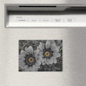 Twee van dezelfde soort magneet (Insitu (Vaatwasser))