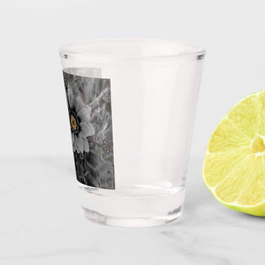 Twee van dezelfde soort shot glas (Rechts)