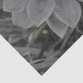 Twee van dezelfde soort tissuepapier (Detail)