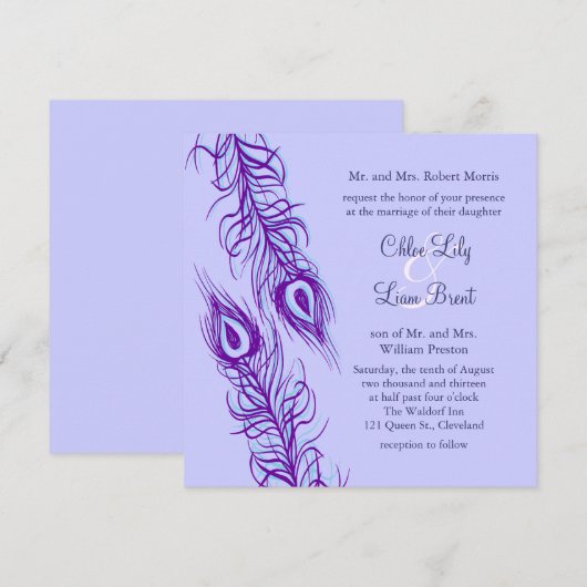 Twee van een Kind Peacock Feathers Kaart (Voorkant / Achterkant)