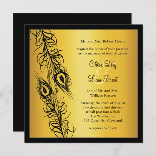 Twee van een Kind Peacock Feathers Kaart (Voorkant / Achterkant)