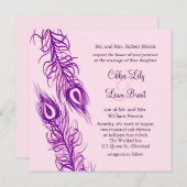 Twee van een Kind Peacock Feathers Kaart (Voorkant / Achterkant)