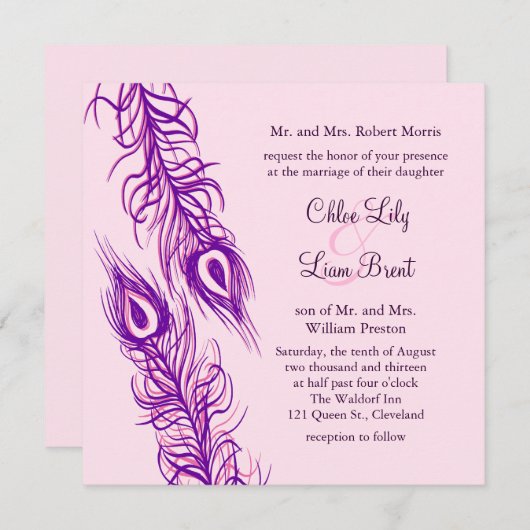 Twee van een Kind Peacock Feathers Kaart (Voorkant / Achterkant)