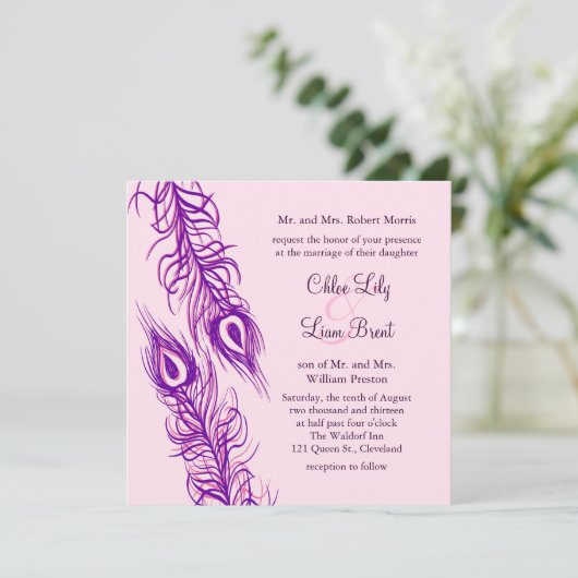 Twee van een Kind Peacock Feathers Kaart (Staand voorkant)