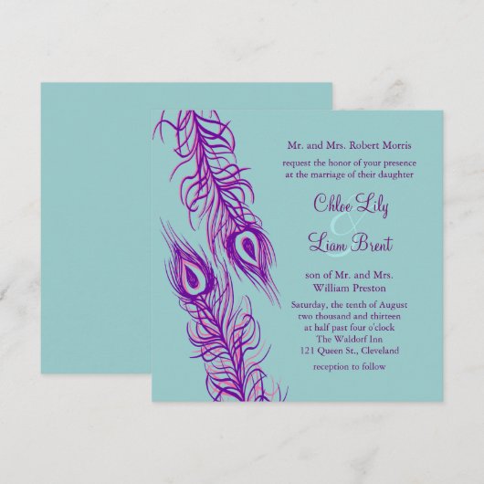 Twee van een Kind Peacock Feathers Kaart (Voorkant / Achterkant)