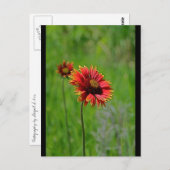 Twee van een soort briefkaart (Voorkant / Achterkant)