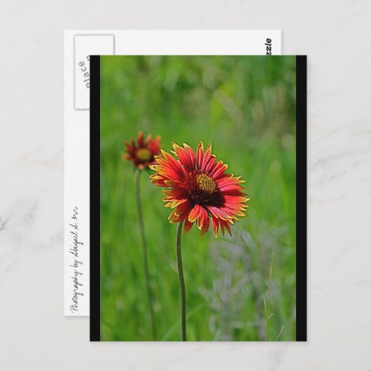 Twee van een soort briefkaart (Voorkant / Achterkant)