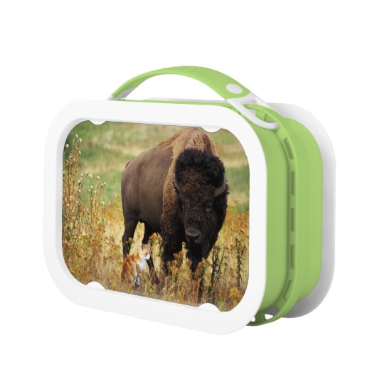 Twee van een soort lunchbox (Links)