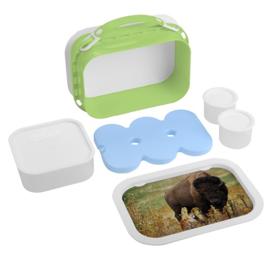 Twee van een soort lunchbox (Gehele Product)