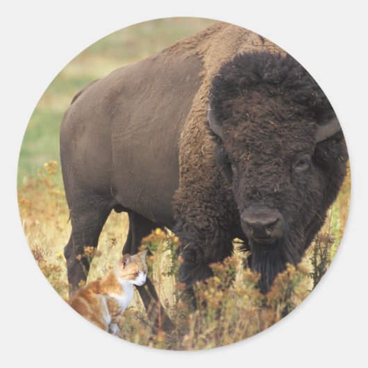 Twee van een soort ronde sticker (Voorkant)