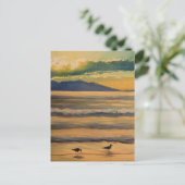 "Twee van een soort" vogels op de strand Waterverf Briefkaart (Staand voorkant)