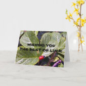 Twee van het Oude Jaar Wenskaart van het Kaart (Gele Bloem)