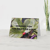 Twee van het Oude Jaar Wenskaart van het Kaart (Voorkant)