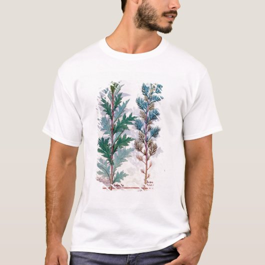 Twee variëteiten van Artemesia T-shirt (Voorkant)