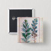 Twee variëteiten van Artemesia Vierkante Button 5,1 Cm (Voorkant /achterkant)