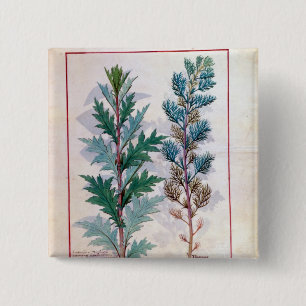 Twee variëteiten van Artemesia Vierkante Button 5,1 Cm