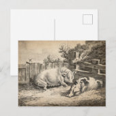 Twee Varkens die in rietje liggen in een buitenpen Briefkaart (Voorkant / Achterkant)