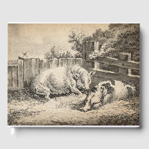 Twee Varkens die in rietje liggen in een buitenpen