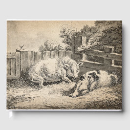 Twee Varkens die in rietje liggen in een buitenpen Gastenboek