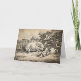 Twee Varkens die in rietje liggen in een buitenpen Kaart