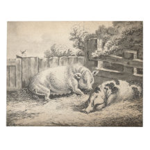 Twee Varkens die in rietje liggen in een buitenpen