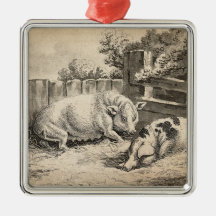 Twee varkens liggend in stro in een buitenverblijf