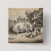 Twee varkens liggend in stro in een buitenverblijf