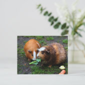 Twee varkens uit Cute Guinee eten Veggies Briefkaart (Staand voorkant)