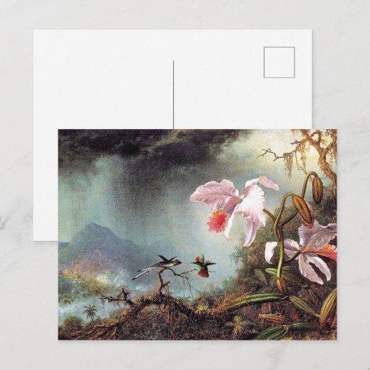 Twee vechtende Hummingvogels, beroemd schilderij Briefkaart (Voorkant / Achterkant)