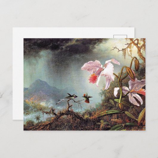 Twee vechtende kolibries, beroemd schilderij briefkaart (Voorkant / Achterkant)