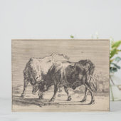 Twee vechtende stieren (van Paulus Potter) Kaart (Staand voorkant)