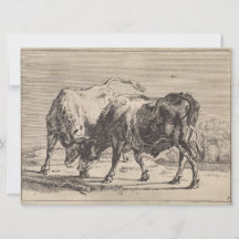 Twee vechtende stieren (van Paulus Potter)