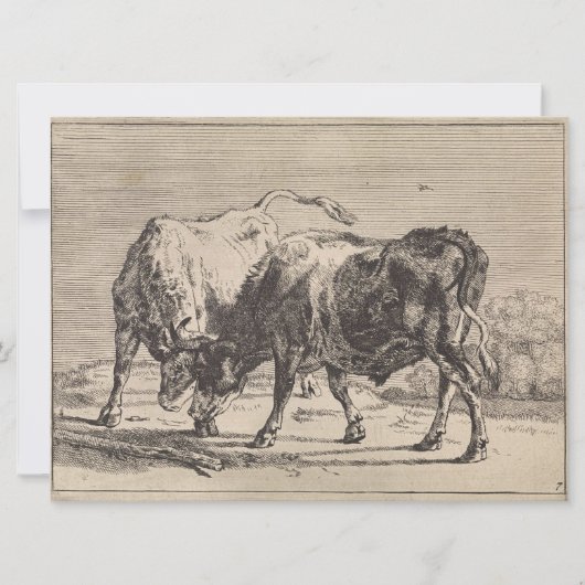 Twee vechtende stieren (van Paulus Potter) Kaart (Voorkant)