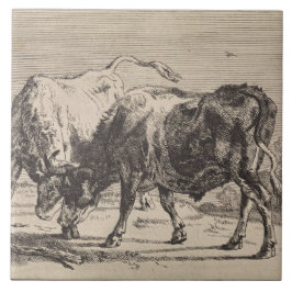 Twee vechtende stieren (van Paulus Potter) Tegeltje