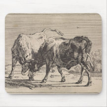 Twee vechtstieren (door Paulus Potter)