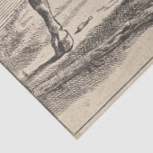 Twee vechtstieren (door Paulus Potter) Tissuepapier (Detail)