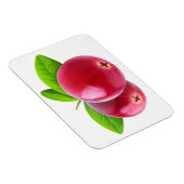 Twee veenbessen magneet (Rechterzijde)