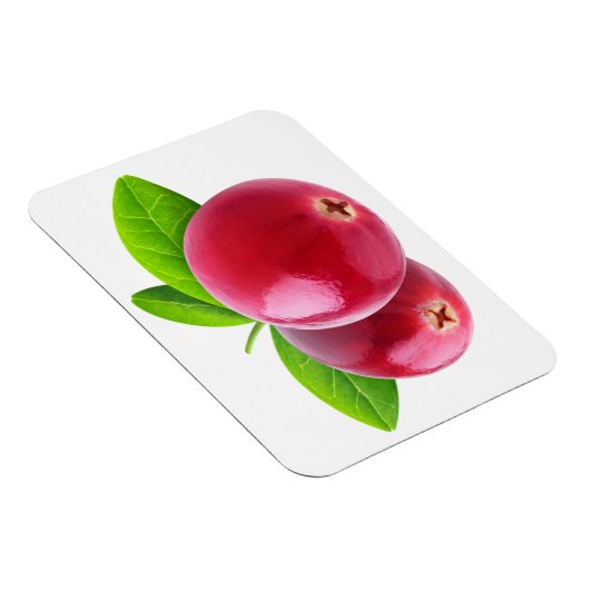 Twee veenbessen magneet (Rechterzijde)