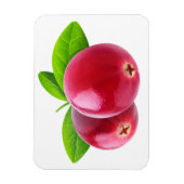 Twee veenbessen magneet (Verticaal)