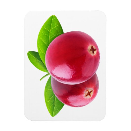 Twee veenbessen magneet (Verticaal)