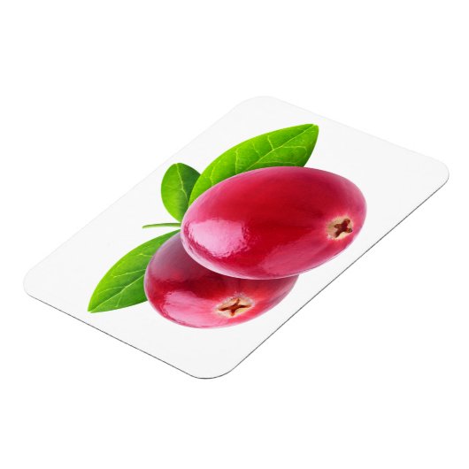 Twee veenbessen magneet (Linkerzijde)