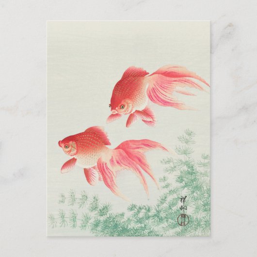 Twee Veil Goldfish Painting door Ohara Koson Briefkaart (Voorkant)