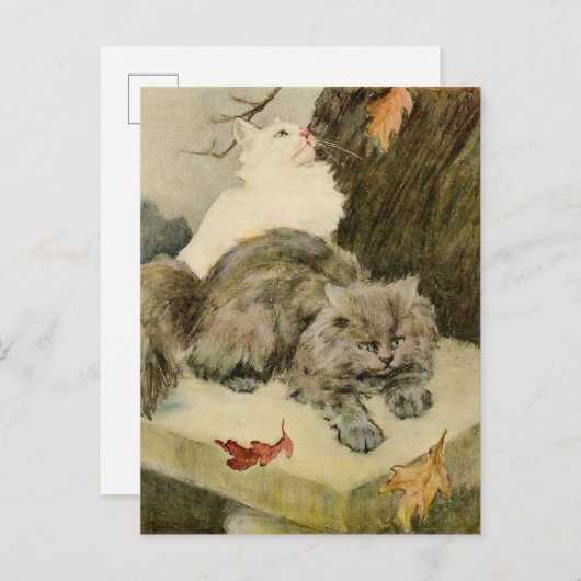 Twee  ventilatorkatten die buiten rusten aankondigingskaart (Voorkant / Achterkant)